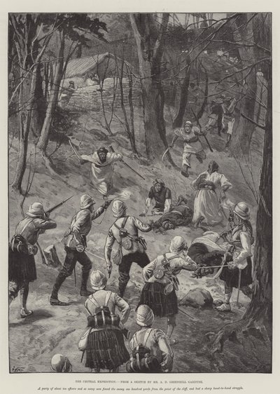 La Expedición de Chitral de William Barnes Wollen